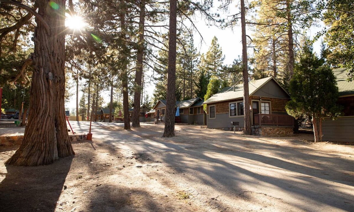 Big Bear Lake Cabin | 0101-Sunset | 1BR/1BA Big Bear cabin, forest views