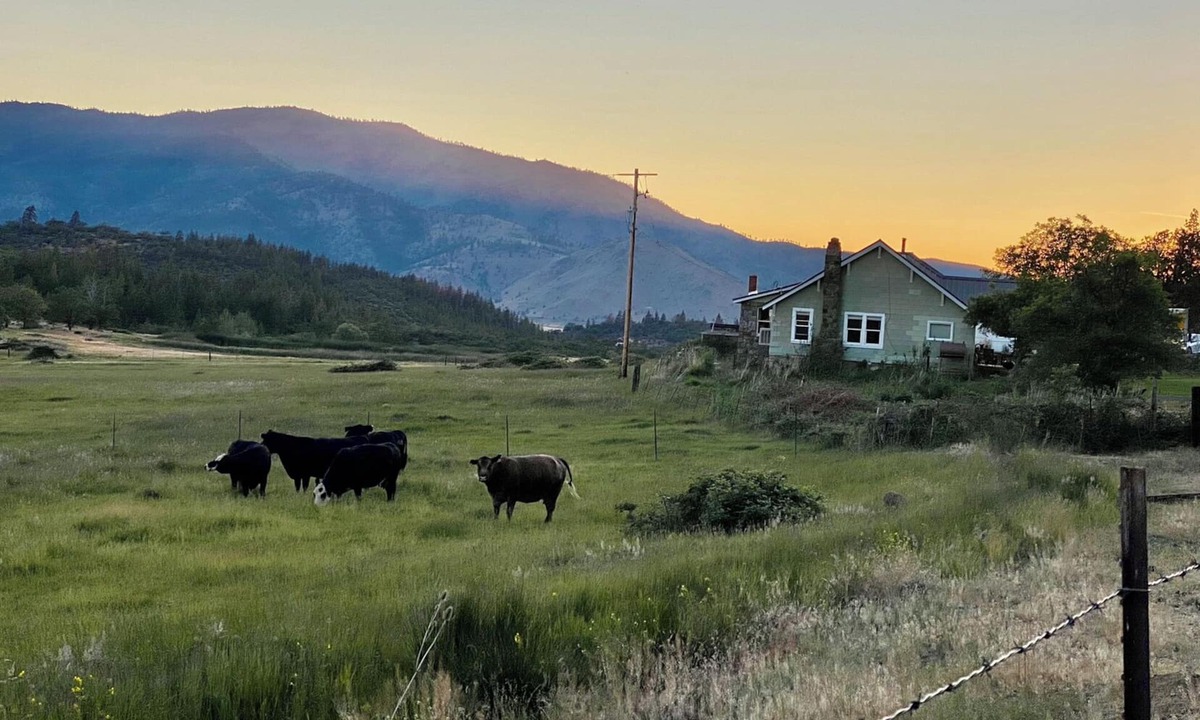 Weed House | 500 Acre Ranch on the Foot of Mount Shasta.