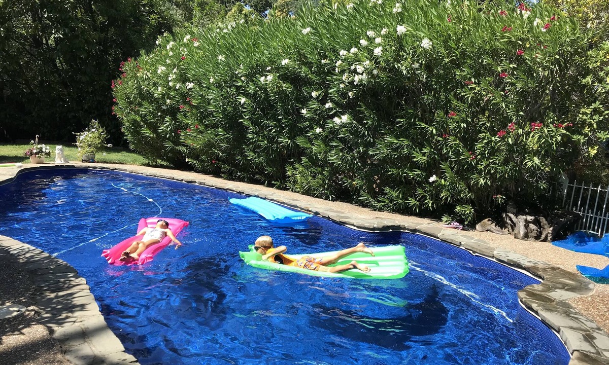 San Anselmo House | Charming Marin County Getaway w/Pool in Ross-Walk to Trails/Downtown San Anselmo