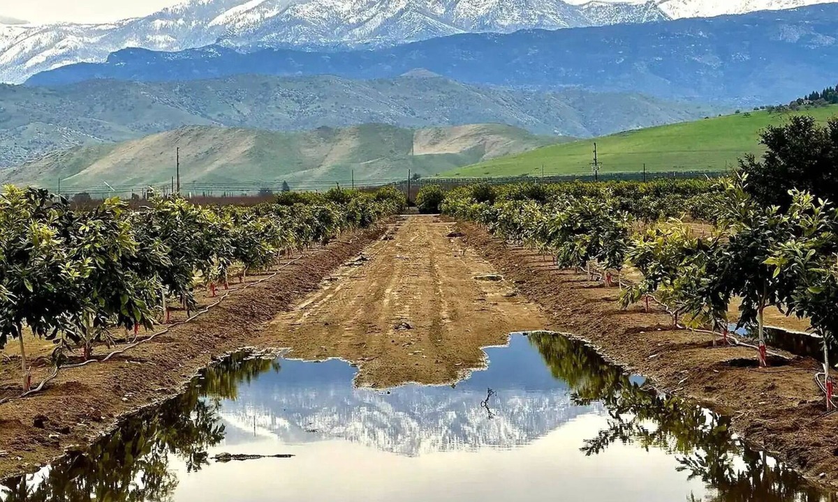 Exeter House | Home Among the Orchards, Pool, National Parks, Friendliest of Towns