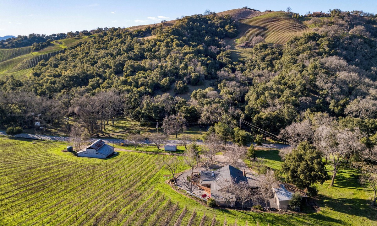 Paso Robles House | Luxe Wine Country Haven, Vineyard Views | Near Top Wineries | Adelaida Farmhouse