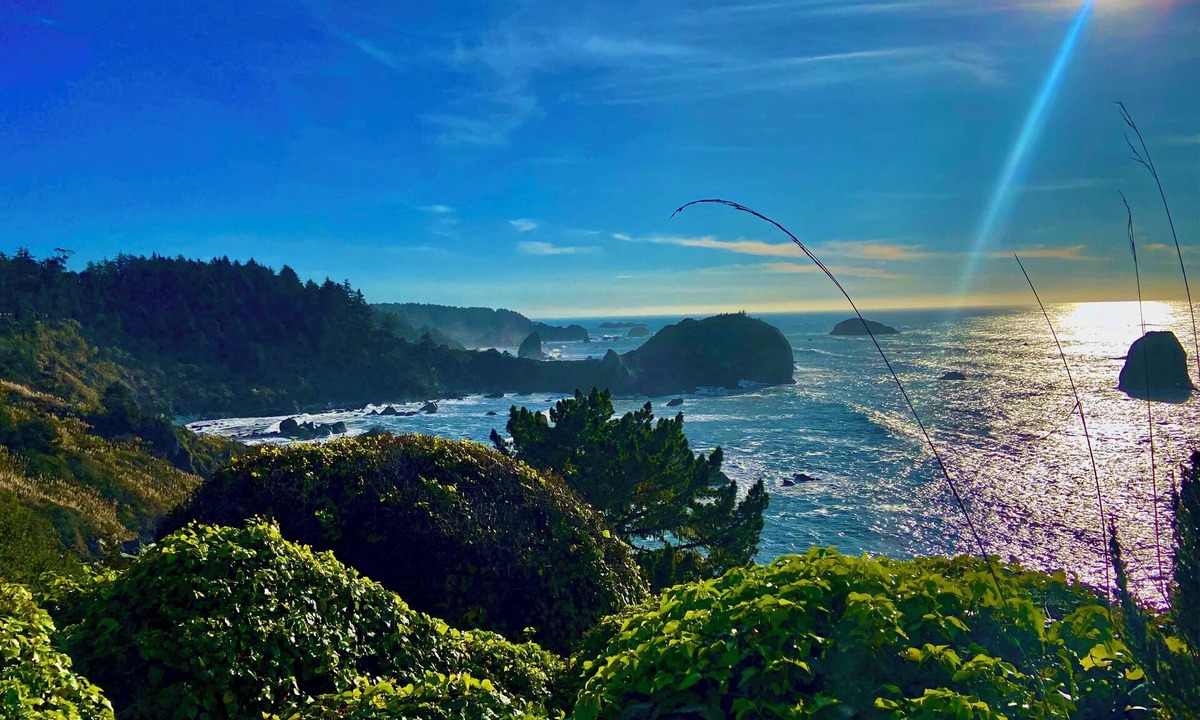 Trinidad House | Ocean-view studio near redwoods and beaches—your basecamp for Trinidad adventure.