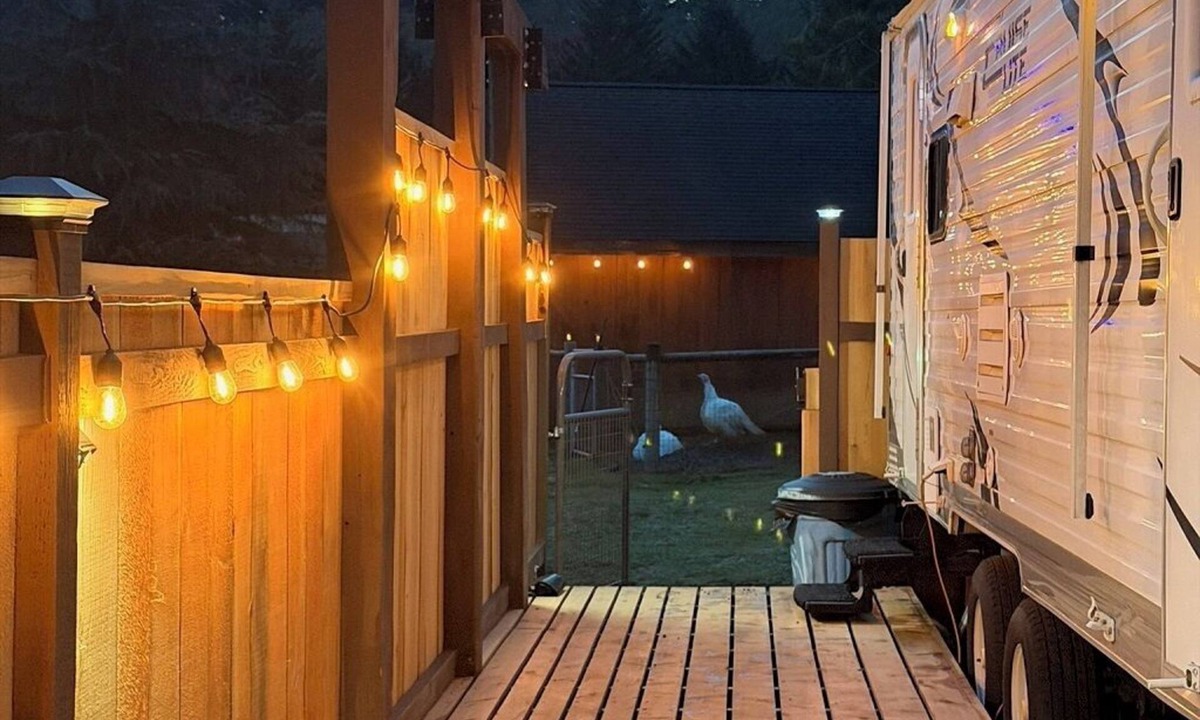Cinebar House | PNW Treasure ~ stay here and explore the natural beauty of East Lewis County.