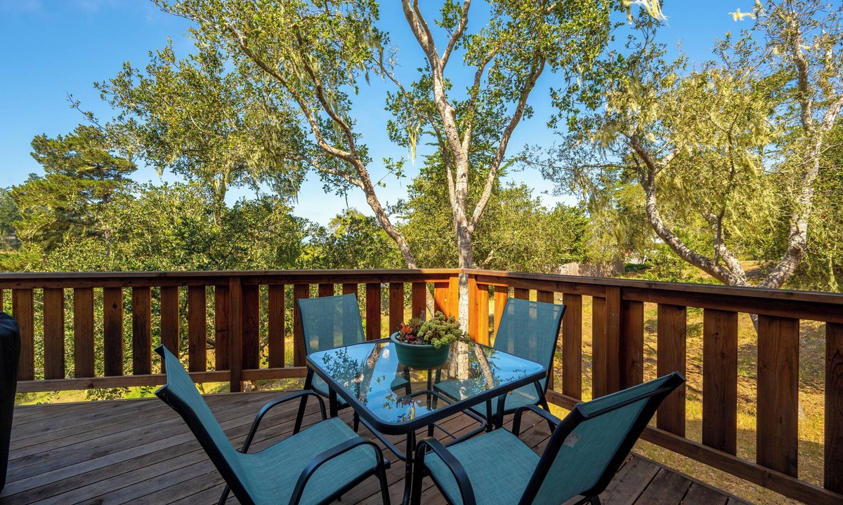 Lodge Hill House | Redwood Refuge, A Peaceful Pines Escape Near Trails & Town. Pet Friendly Too!