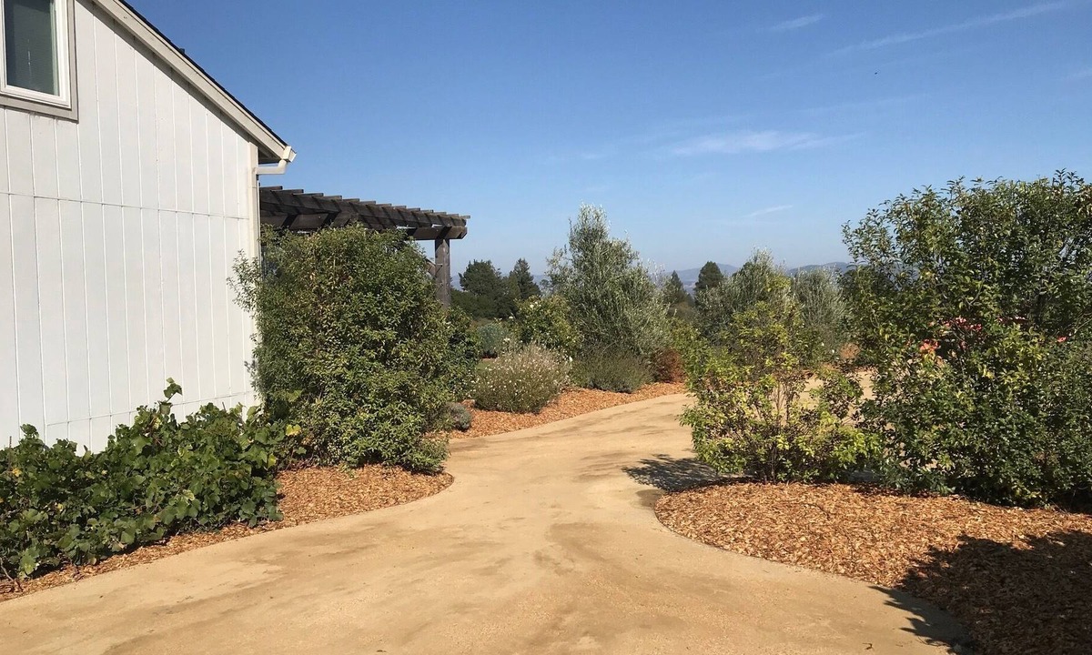 Freestone Cottage | Stunning Views on 10 acres w/ Vineyard, 7 min to Sebastopol