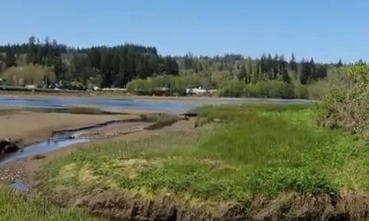 West Hills House | Walk to the Sound! From Fabulous RV with AC in charming Port Orchard!