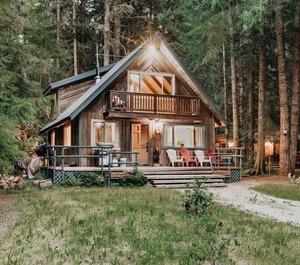 Wood Stove 