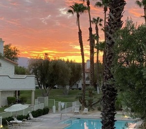 Marriott Desert Sp Villas Palm 