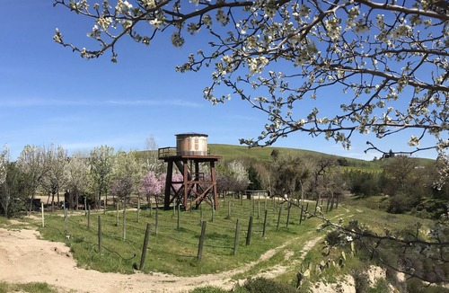 San Miguel House | 1 BR 1 BA Private House on 37-acre organic orchard: The Cottage at Hartley Farms