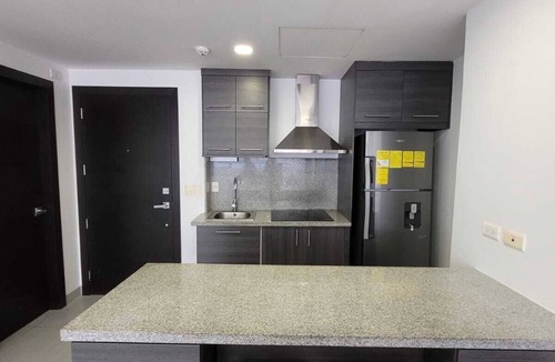 Bouvet Island Apartment | Airport-Ready 2BR Gem by Mall del Sol AC + Fitness + Fast WiFi