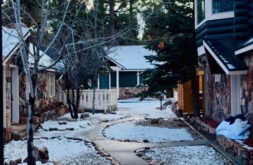 Big Bear Lake Hotel | Arkouda Cabins: Anna's Hummingbird