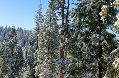 Arnold Cabin | Big Trees Base Camp Sleeps 17