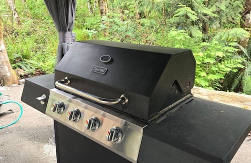 Marblemount RV Rental | Cascade River Park - Cascade Nook Camp, in the heart of the North Cascades