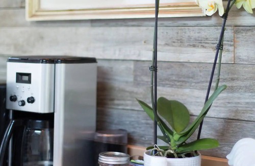 Ballard House | Chic Sheep Retreat ~ Forbes Feature ~ Santa Ynez Valley Farm Stay