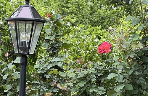 Ione Cottage | Cozy Rustic Rose Cottage. 3 private Beds.Close to Town,Nature and the Zen Life!