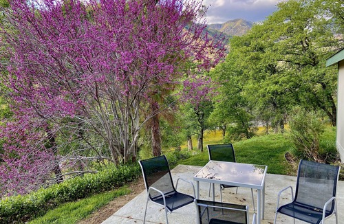 Three Rivers House | DEER RIDGE * Unbeatable Location! Amazing Views! Family Friendly!