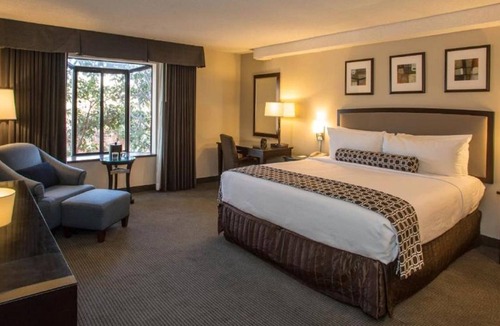 Concord Hotel | FairBridge Hotel by Concord Plaza
