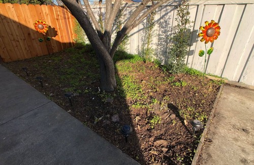 Shoreview Apartment | Fetching cozy studio close to everything