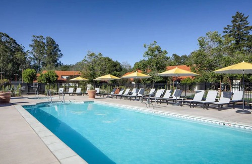 Live Oak Hotel | Forest Retreat: Spacious Room with Private Patio | Stunning Views