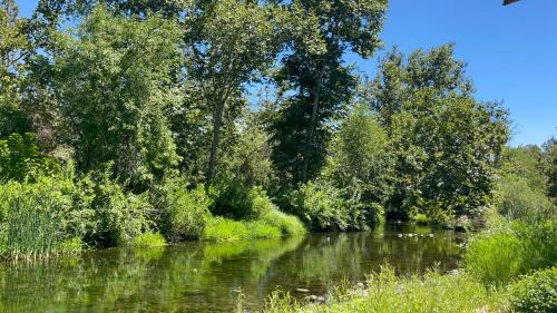 Kaweah House | Grand Riverside Retreat - 150 yds from the River