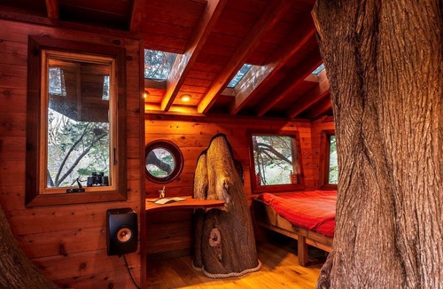 Half Moon Bay Cabin | Half Moon Bay Glamping Getaway in an Idyllic Tree House and Cabin