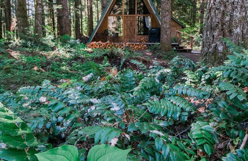 Ashford Cabin | Hidden Gem! Modern A-frame in wooded wonderland next to the Nisqually river
