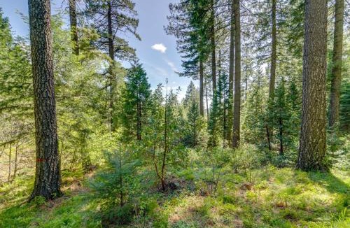 Nevada City Apartment | Hike, Bike & Swim! Wooded Retreat in Nevada City