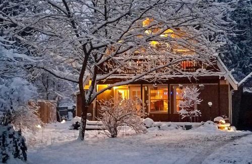 Gold Bar House | Hike, Ski & Explore! ‘Owl’s Nest’ Gold Bar Cabin