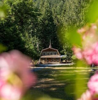Ashford House | Hot Tub, Sauna, Cold Plunge - 1 mile from Rainier NP - Sleeps 8