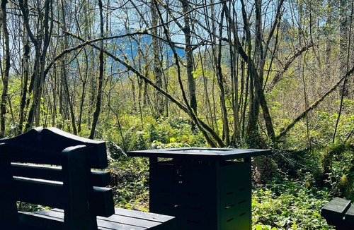 Gold Bar Cabin | Huckleberry Hideaway Luxury Off-Grid Glamping near Gold Bar, WA