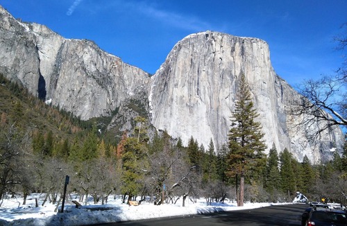Yosemite West Cabin | INSIDE YOSEMITE PARK! Cozy, Peaceful