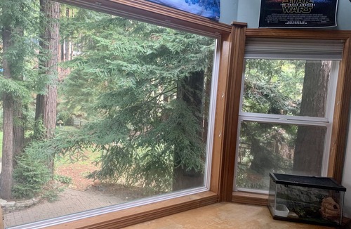 Fortuna House | Large house Up in the Redwoods perfect for large families. Pet friendly.