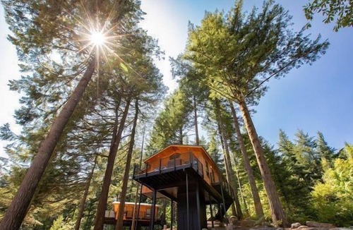 Stevenson Cabin | Luxury Tree Houses into the Heart of Washington