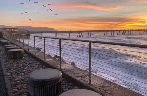 Sharp Park Apartment | Modern Coastal 2B1B Remodeled Walk to Pier Backyard Free Parking