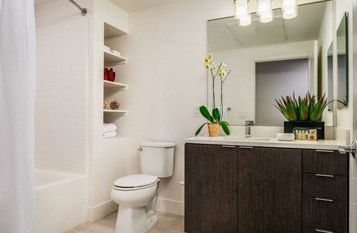 Morse Park Apartment | Modern One Bedroom Apartment in Silicon Valley