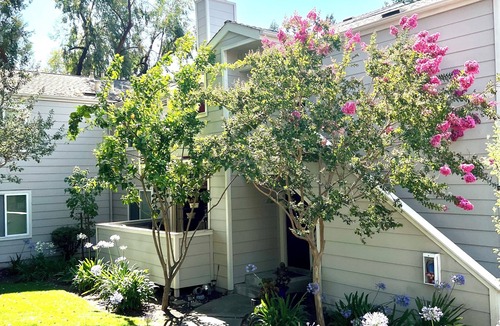 San Ramon Condo | Modern San Ramon Condo – Stylish, Comfy Peaceful & Perfectly Located!