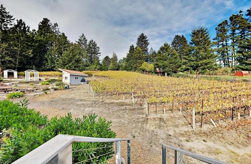 Freestone House | Mtn-View Retreat w/Hot Tub + Deck in Sebastopol