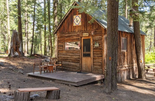 Blairsden-Graeagle Cabin | Nimble Squirrel Cabin at Camp Layman | Playful Mountain Retreat with King Bed