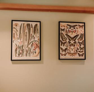 Mariposa House | Oak Meadows House - A unique home near Yosemite