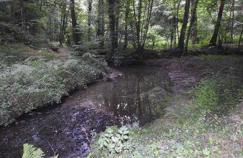 Bazouges-la-Perouse Cottage | Peace and Tranquility at L'Etang