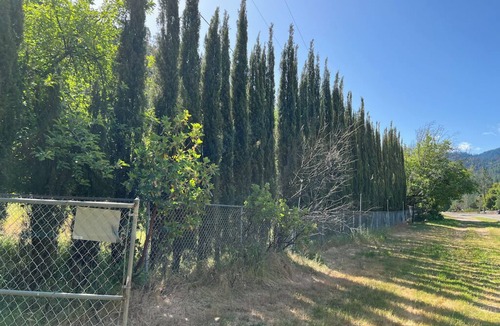 Big Bar House | Private 1-bedroom 1-bathroom guest suite in the forested area of Trinity County.
