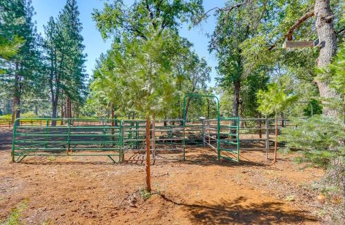 Shingletown House | Private Horse Stall: Unplug at Shingletown Home!