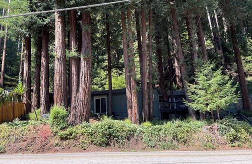 Scotts Valley House | Private Redwood View Suite Near Santa Cruz Beaches