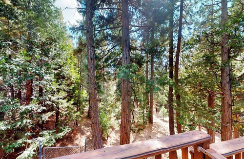 Beckwourth Cabin | Projector & Deck! Family Cabin, 4 Mi to Lake Davis