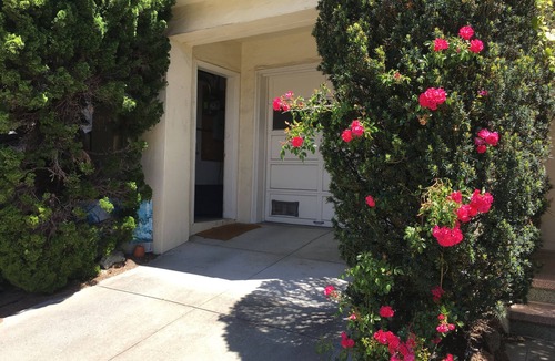 Lone Mountain Apartment | Quiet Garden Apt., geographic center of The City