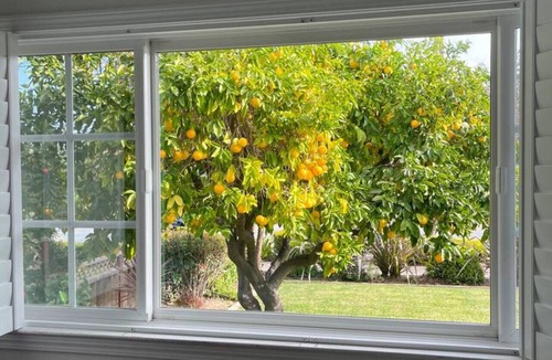 Willow Glen South - Lincoln Glen House | Sunlit Modern Retreat 4BR 2.5BA Open Floor Home Near SJC