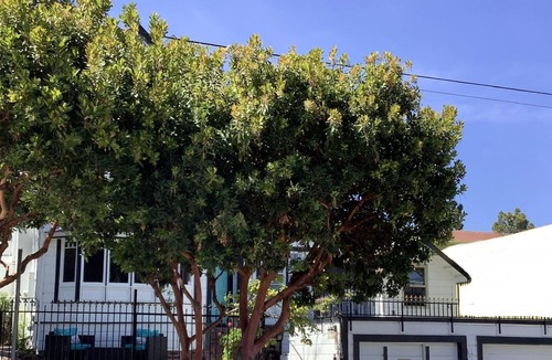 Beach Hill - Beach Flats Bed & Breakfast | The Boardwalk Beach House Bed & Breakfast