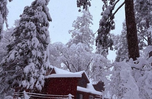 Twain Harte Cabin | The Fork House | Luxury Creekside Sierra Retreat