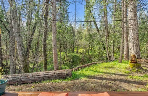 Oakhurst Cottage | The Little House in the Big Woods, a creekside cottage near Yosemite.