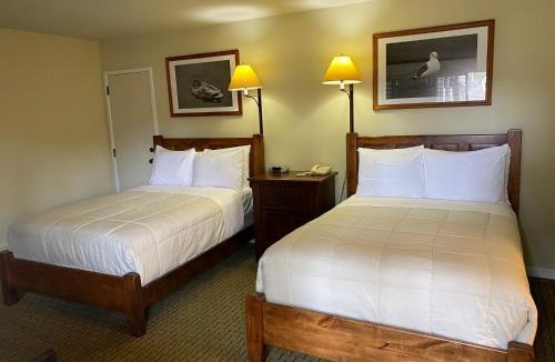Pacific Grove Cabin | The Famous Sporting Event Lodge